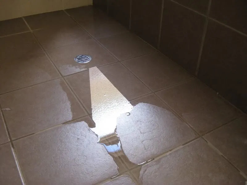 What Is Water Ponding and What Can You Do About It?